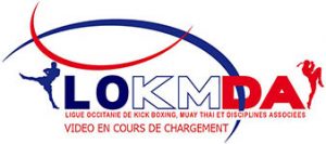 Boxe Carcassonne Punching LOKMDA