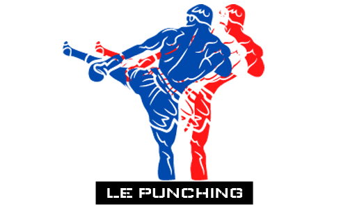 Logo-PUNCHING-CARCASSONNE (1) Punching Boxe Carcassonne